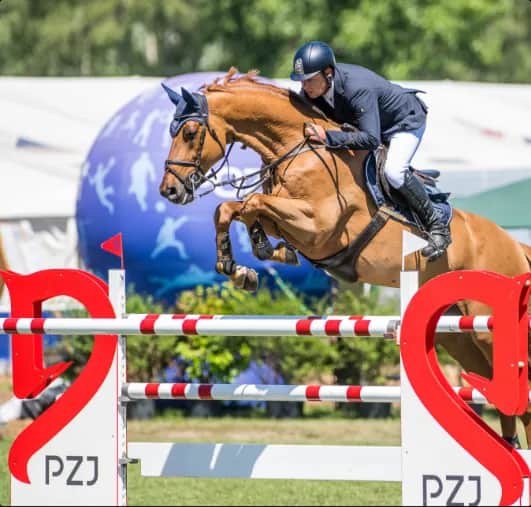 Zawody jeździeckie: jak się przygotować i co warto wiedzieć