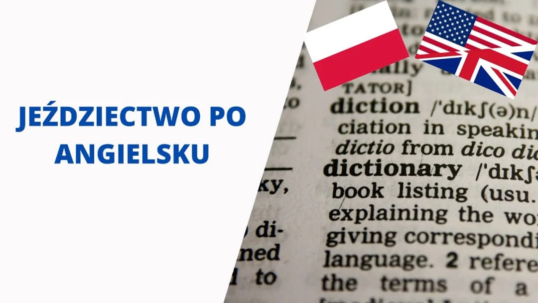 Jeździectwo po angielsku – kluczowe terminy i tłumaczenia, które musisz znać