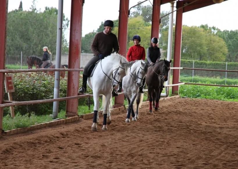 Jak zostać trenerem jeździectwa i uniknąć najczęstszych błędów