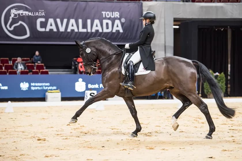 Kategorie wiekowe jeździectwo - poznaj wszystkie klasyfikacje zawodników