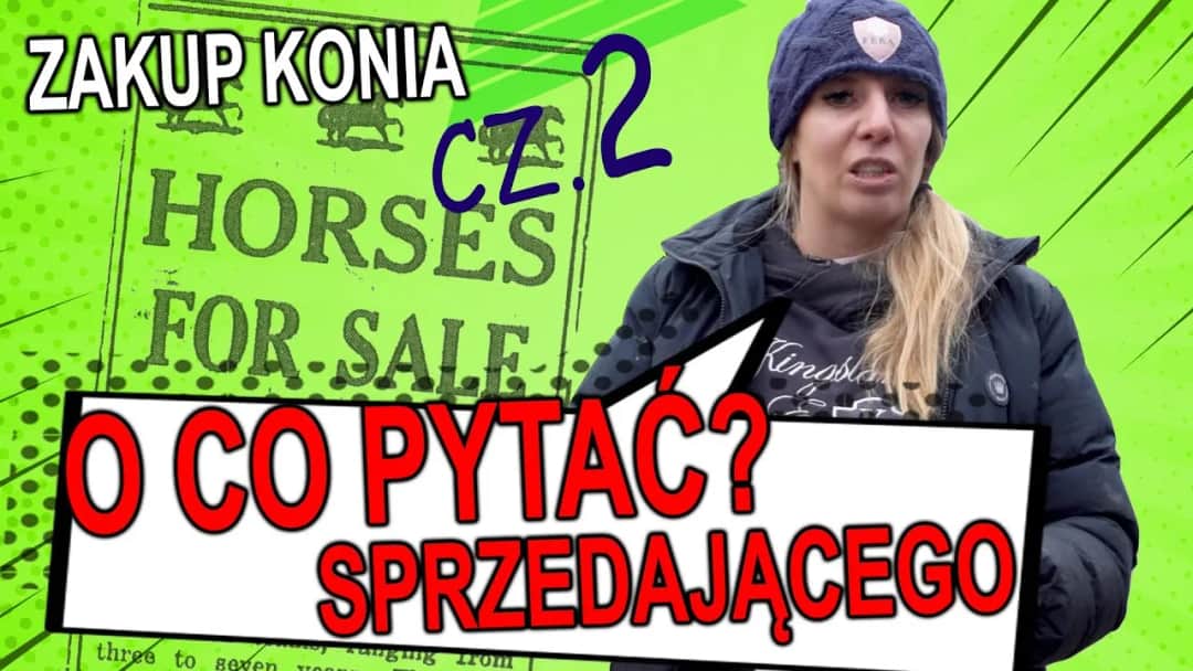 Jak kupić konia bez błędów: kluczowe kroki i porady finansowe
