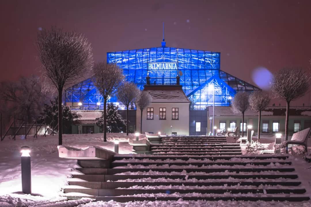 Co w Zielonej Górze? Odkryj najciekawsze atrakcje i wydarzenia