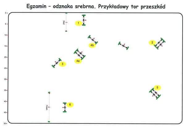 Srebrna odznaka jeździecka skoki – jak uniknąć najczęstszych błędów?