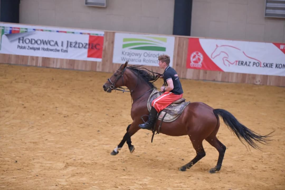 Progi punktowe na kierunku hipologia i jeździectwo - co musisz wiedzieć