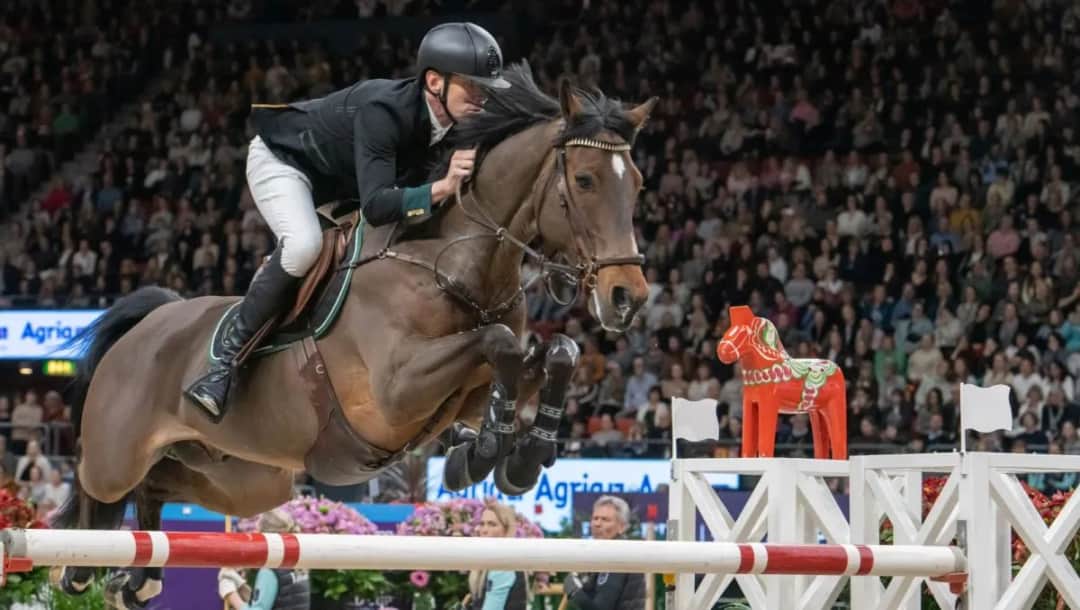 Podlaski związek jeździecki: jak wspiera rozwój sportów konnych