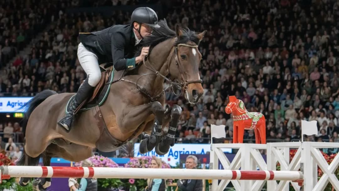 Podlaski związek jeździecki: jak wspiera rozwój sportów konnych