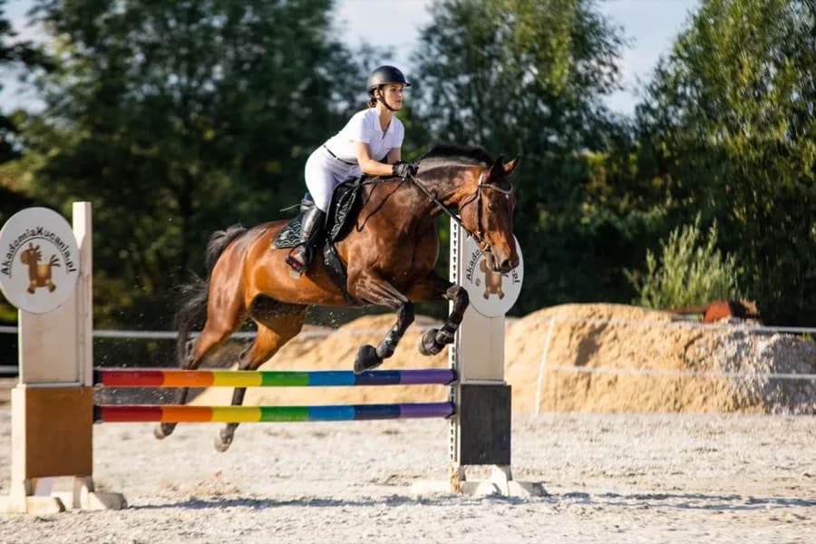 Ubezpieczenie NNW jeździectwo – jak chronić się przed wypadkami?
