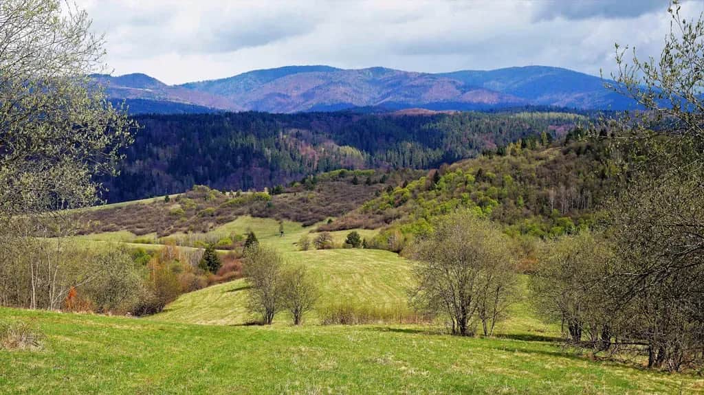 Muszyna jakie góry? Odkryj piękno Beskidu Sądeckiego i okolic