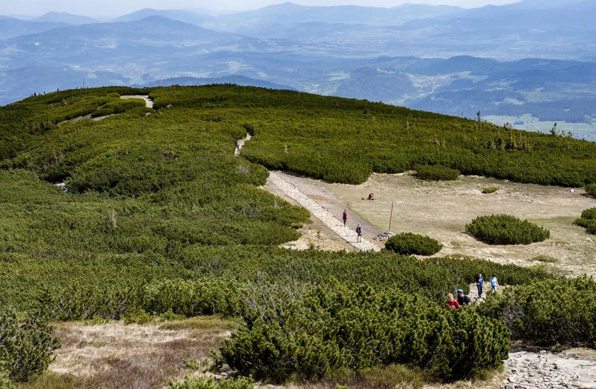 Babia Góra jaki szlak wybrać? Poradnik dla rodzin i wędrowców