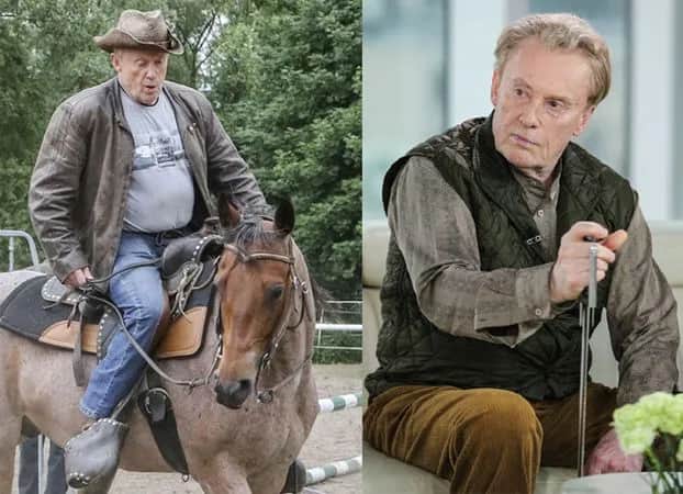 Czy można jeździć konno po alkoholu? Poznaj konsekwencje i ryzyko