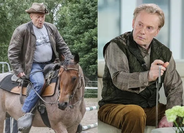 Czy można jeździć konno po alkoholu? Poznaj konsekwencje i ryzyko