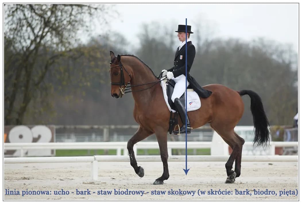 Jak ruszyć konia do kłusa: proste techniki dla początkujących jeźdźców