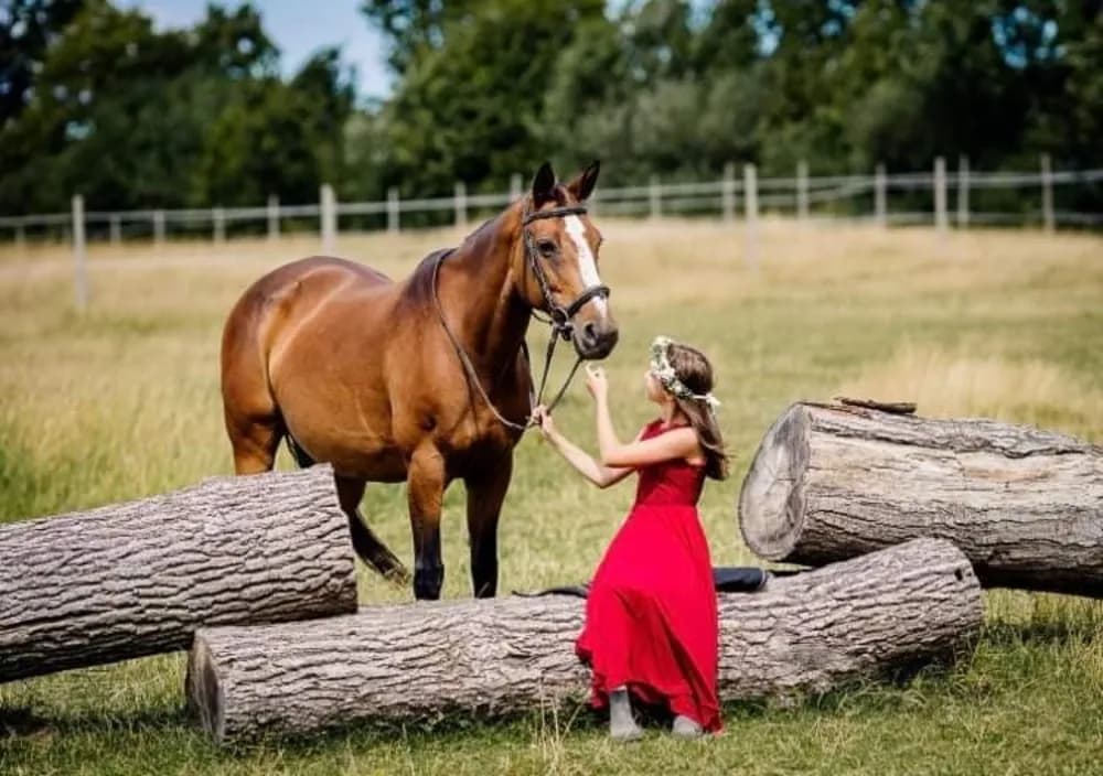 Szkółka Jeździecka Etna: Poznaj ofertę, ceny i lokalizację