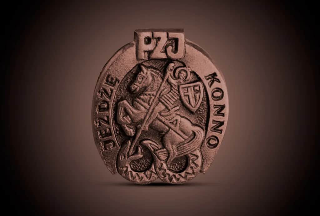 Pytania na brązową odznakę jeździecką, które pomogą Ci zdać egzamin