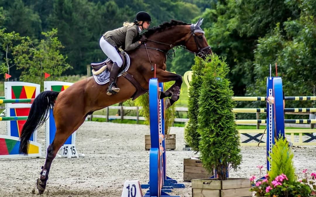 Jeździectwo klasyczne: Kluczowe techniki i sprzęt, które musisz znać