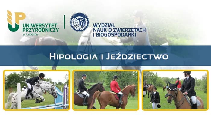 Hipologia i jeździectwo studia – poznaj najlepsze programy edukacyjne