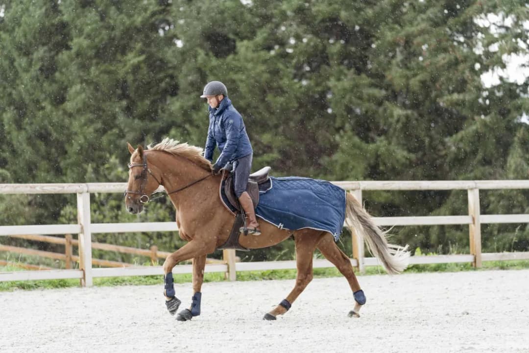 Czy jeżdżąc konno można schudnąć? Sprawdź, jak to działa!