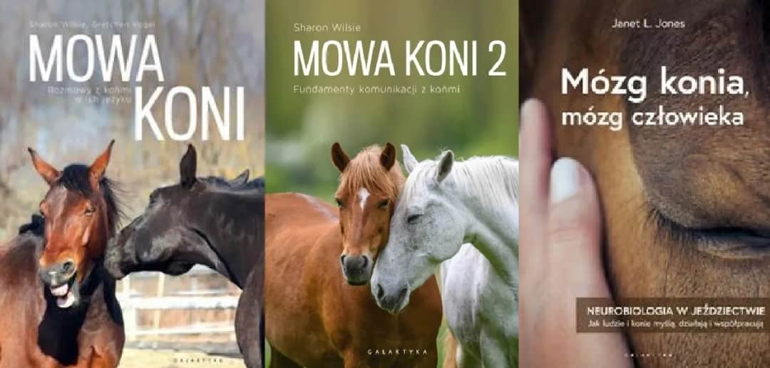 Mózg konia i człowieka: jak neurobiologia zmienia jeździectwo