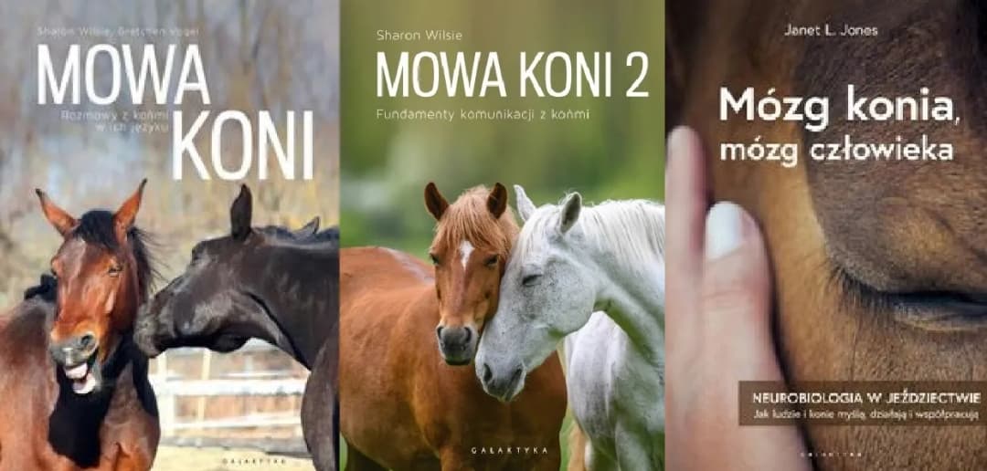 Mózg konia i człowieka: jak neurobiologia zmienia jeździectwo