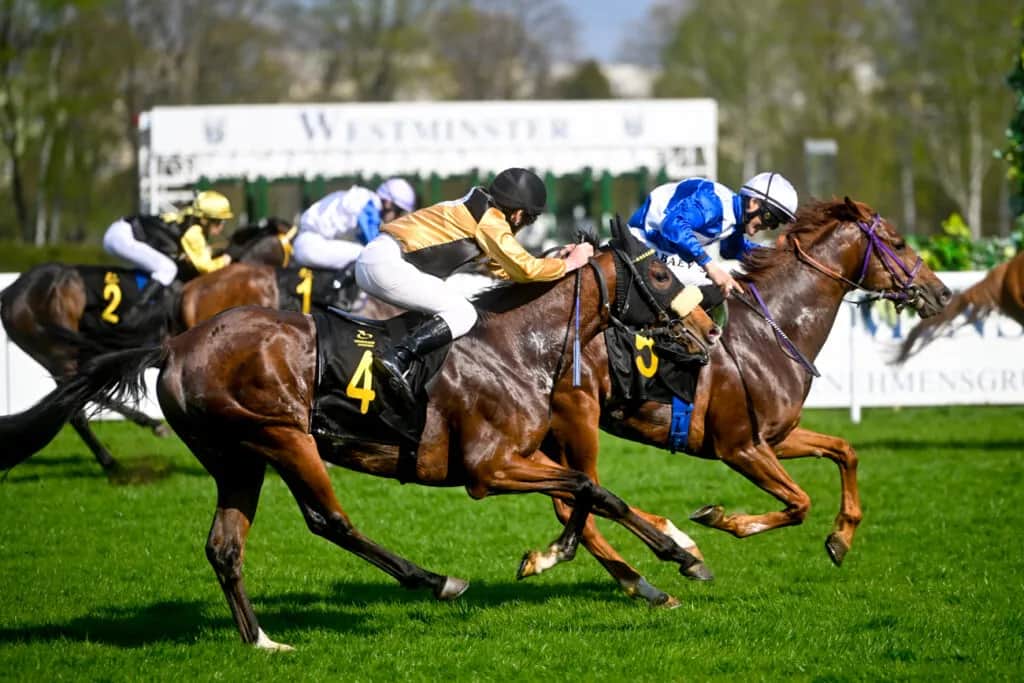 Jacek Jelonek jeździectwo: Jak pasja do koni zmieniła jego życie