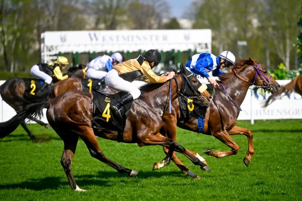Jacek Jelonek jeździectwo: Jak pasja do koni zmieniła jego życie