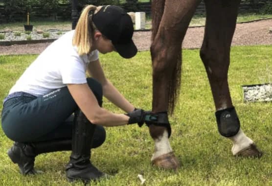 Ochraniacze jeździeckie – jak wybrać najlepsze dla swojego konia?