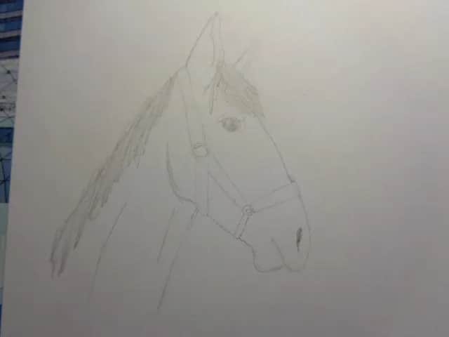 Jak namalować głowę konia krok po kroku - proste wskazówki dla każdego