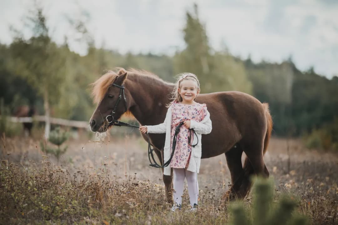 Klub jeździecki Stobno - najlepsze lekcje jazdy konnej i stajnia