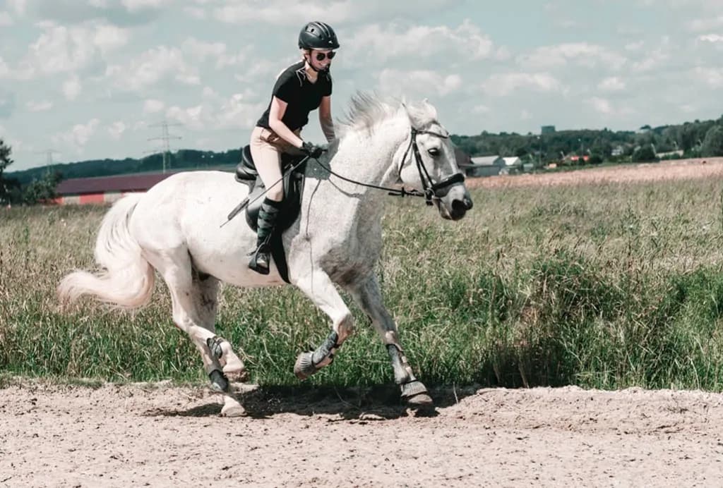 Jak szybko biegnie koń? Odkryj prędkości różnych ras koni