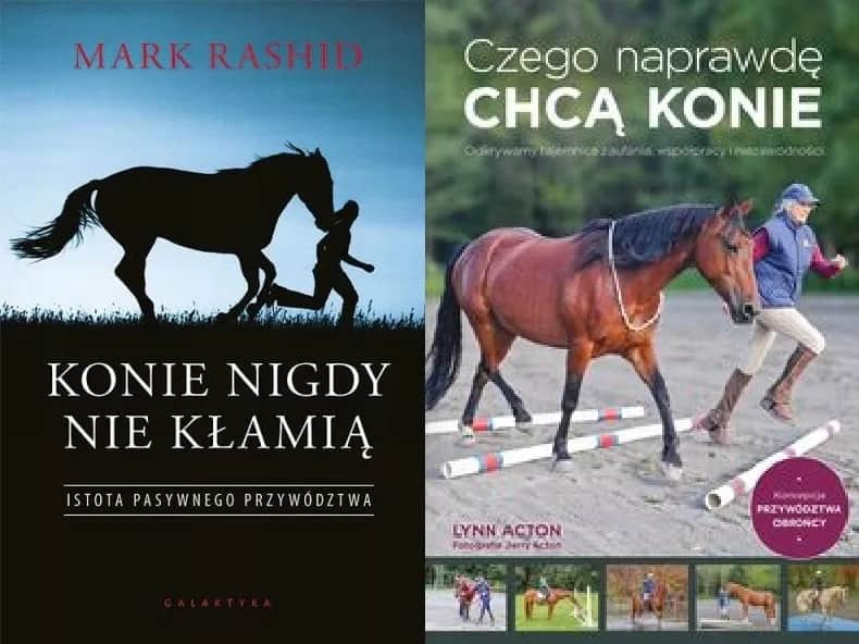 Czego naprawdę chcą konie? Odkryj ich potrzeby emocjonalne i zaufanie