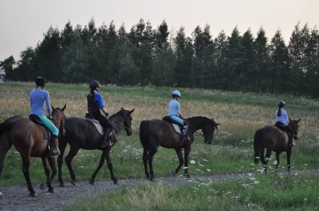 Zawody w jeździectwie w Polsce - poznaj najważniejsze wydarzenia i terminy