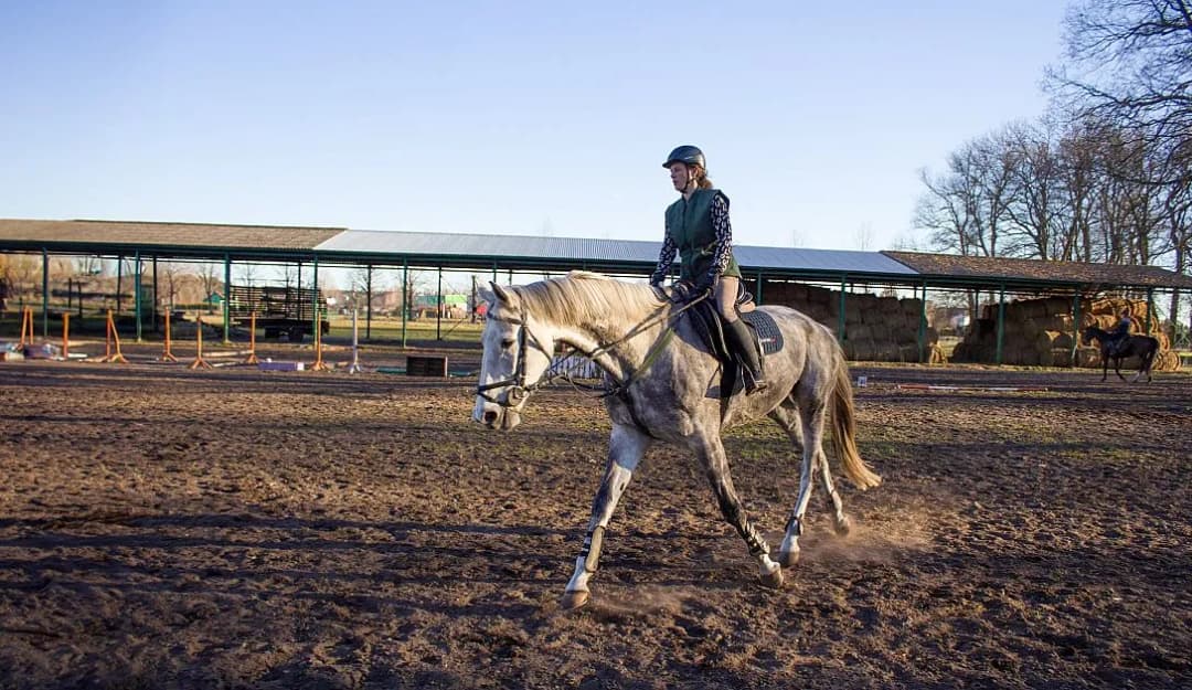 Ile kosztuje odznaka jeżdżę konno? Sprawdź ceny i ukryte koszty