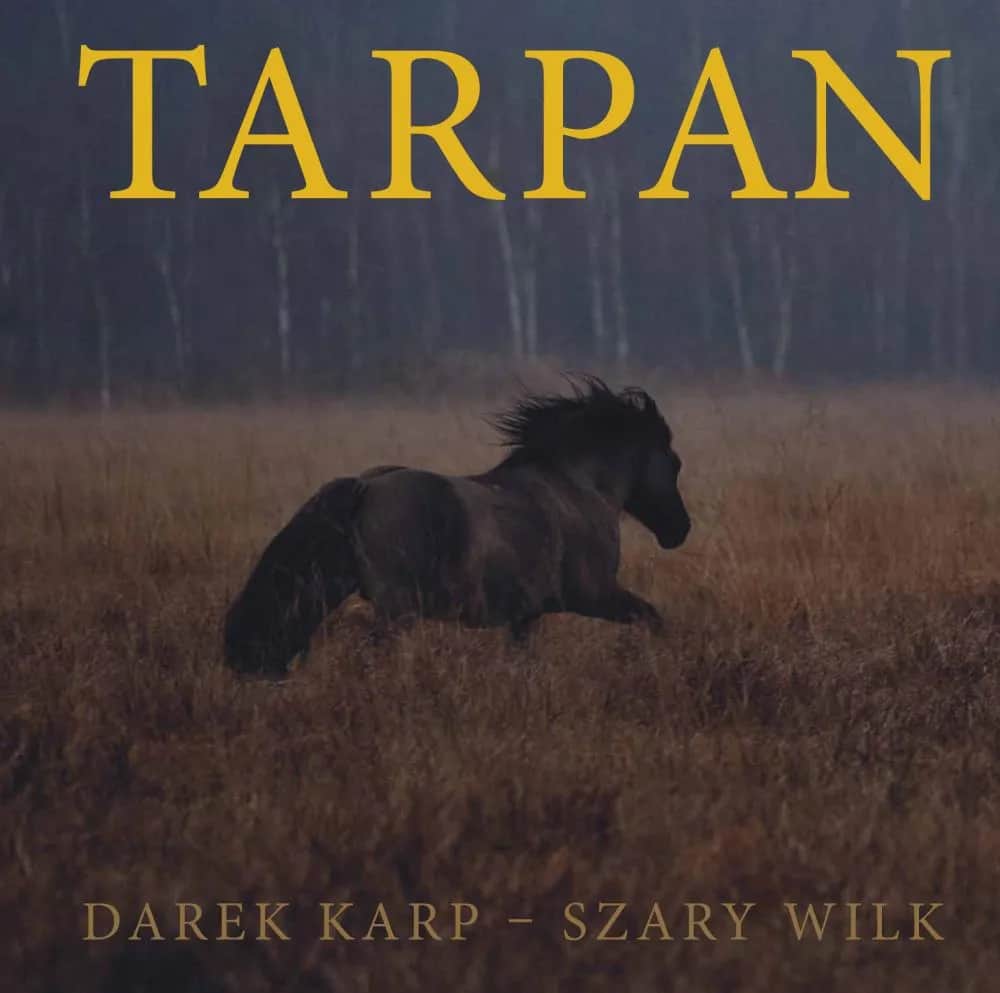 Czy w Polsce żyją dzikie konie? Fakty, które zaskoczą każdego