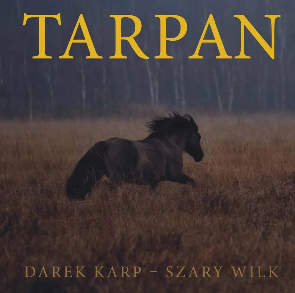 Czy w Polsce żyją dzikie konie? Fakty, które zaskoczą każdego