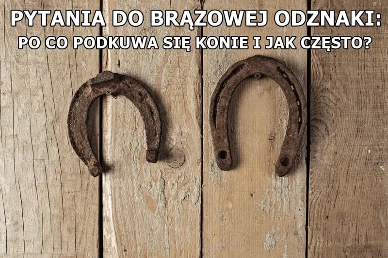 Dlaczego podkuwa się konie? Ochrona kopyt i zdrowie zwierząt